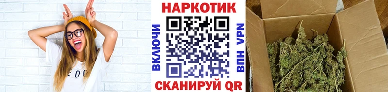 Продажа наркотиков Симферополь Псилоцибиновые грибы  Меф мяу мяу  КОКАИН  ГАШ  Канабис 