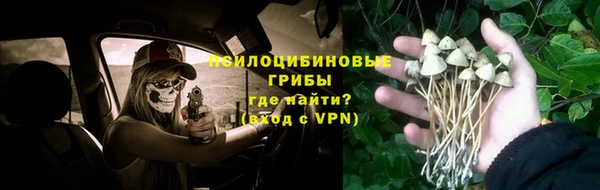 ALPHA PVP Алзамай